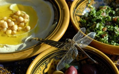 Vegetarian Dishes in Arab / Middle Eastern countries