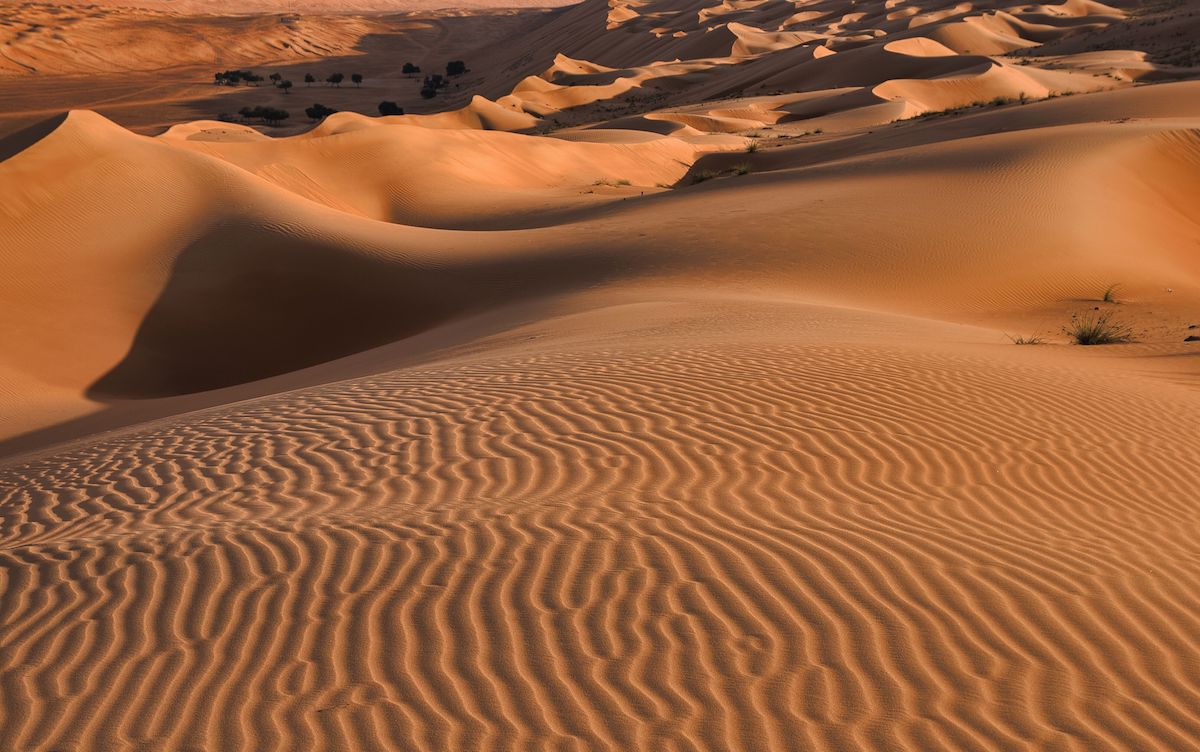 Wilfred Thesiger and the Empty Quarter - ARABIC ONLINE